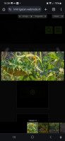 /album/handleiding/afbeelding-van-whatsapp-op-2024-09-11-om-15-54-55-046c3591-jpg/